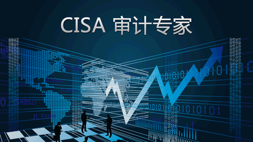 CISA 审计专家